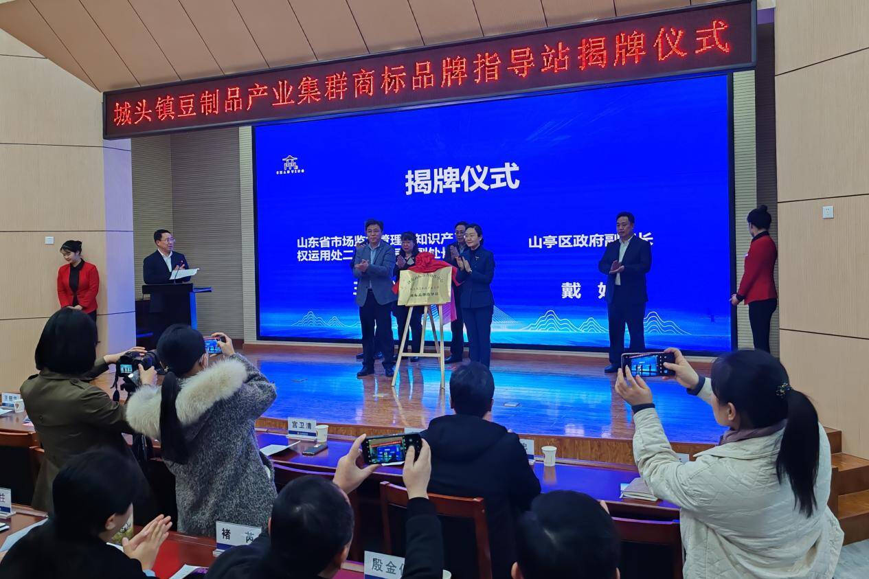 知识产权看山东2024年度山东省首个产业集群商标品牌指导站落户枣庄(图1)