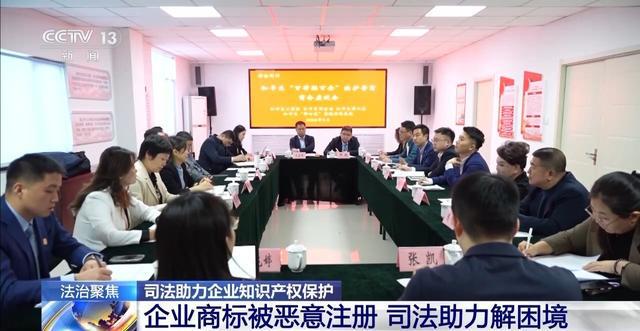 企业商标被恶意注册司法助力企业知识产权保护(图5)