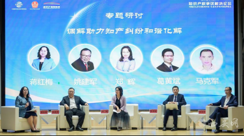 2024年知识产权争议解决论坛在西安举办(图4)