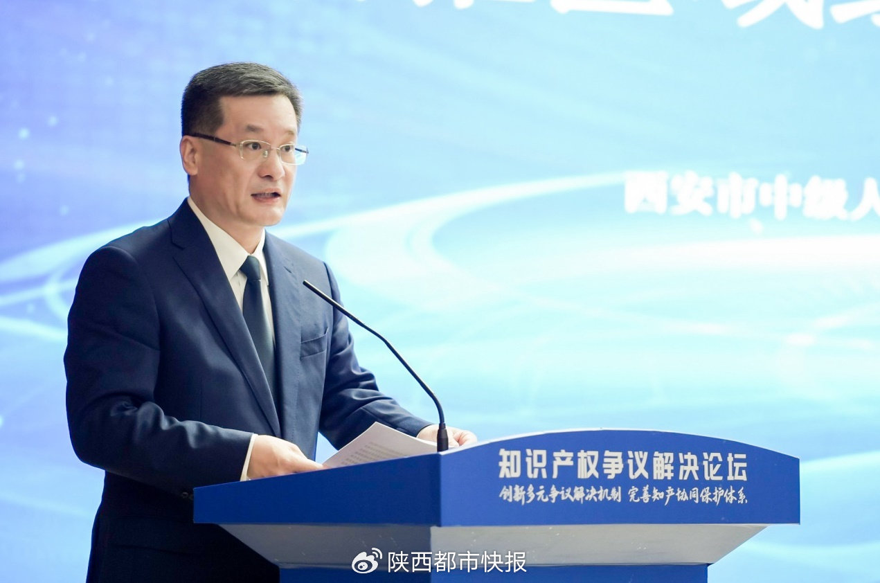 2024年知识产权争议解决论坛在西安成功举办(图4)
