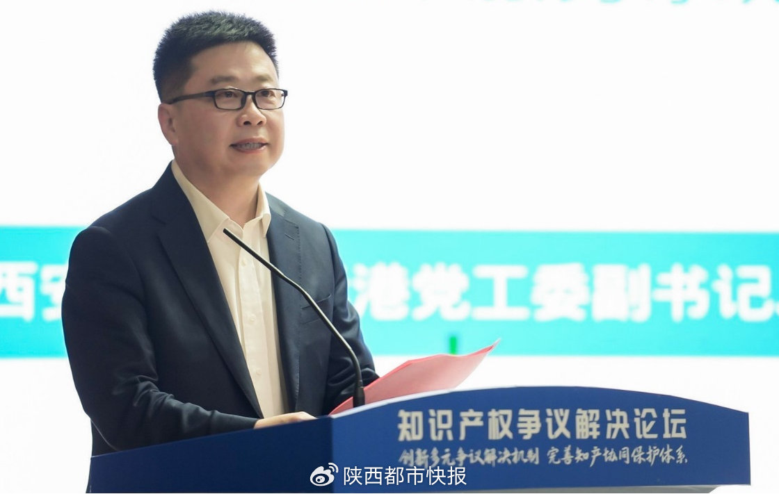 2024年知识产权争议解决论坛在西安成功举办(图5)