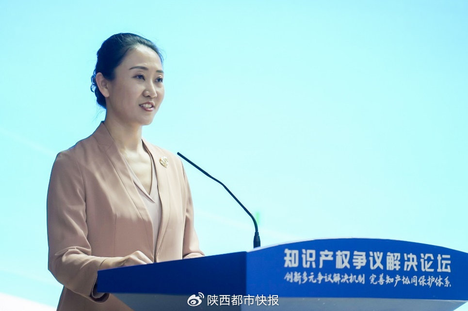2024年知识产权争议解决论坛在西安成功举办(图6)