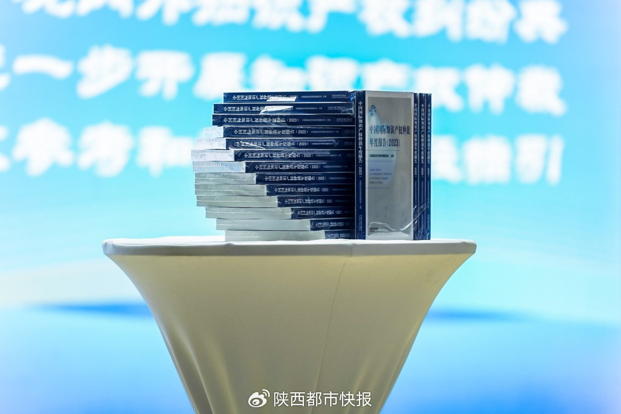 2024年知识产权争议解决论坛在西安成功举办(图7)