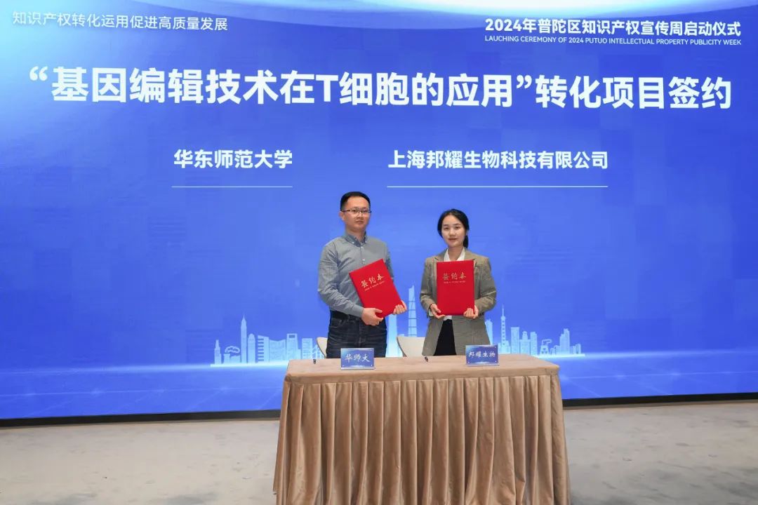 创新引擎再燃新篇章2024年普陀区知识产权宣传周正式启动(图5)