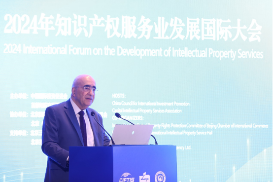 2024知识产权服务业发展国际大会举办(图3)