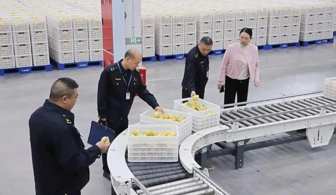 19254亿元品牌价值背后的守护地标升级看四川(图1)