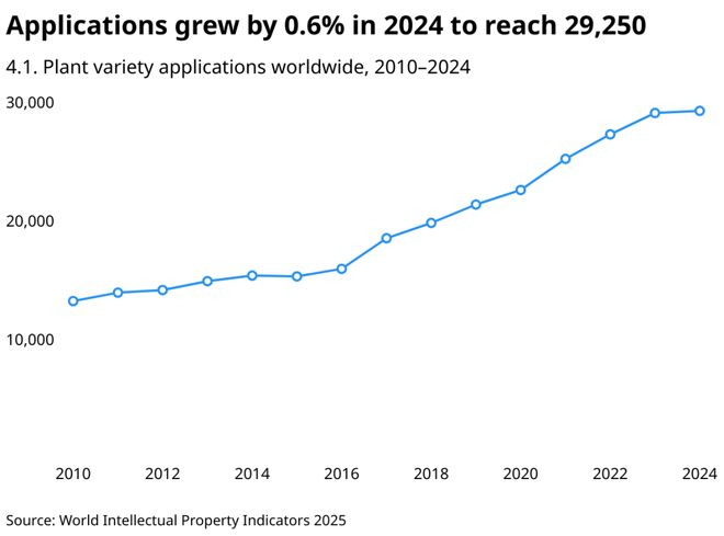 WIPO报告详读：2024年中国专利申请量增速大幅回升国知局专利审查驳回率全球最高（附报告）(图29)