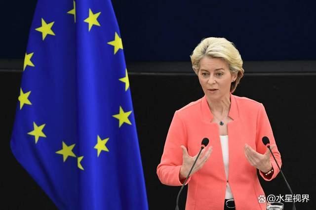 欧洲：中企可以来投资但有明确条件要转让技术和知识产权(图6)