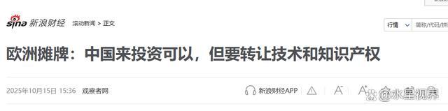 欧洲：中企可以来投资但有明确条件要转让技术和知识产权(图15)