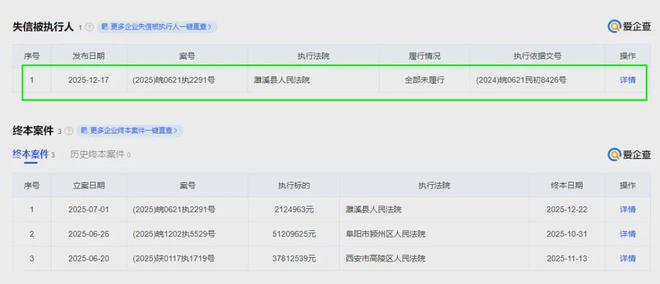 百亿跨界TOPCon明星列入“失信被执行人”(图1)