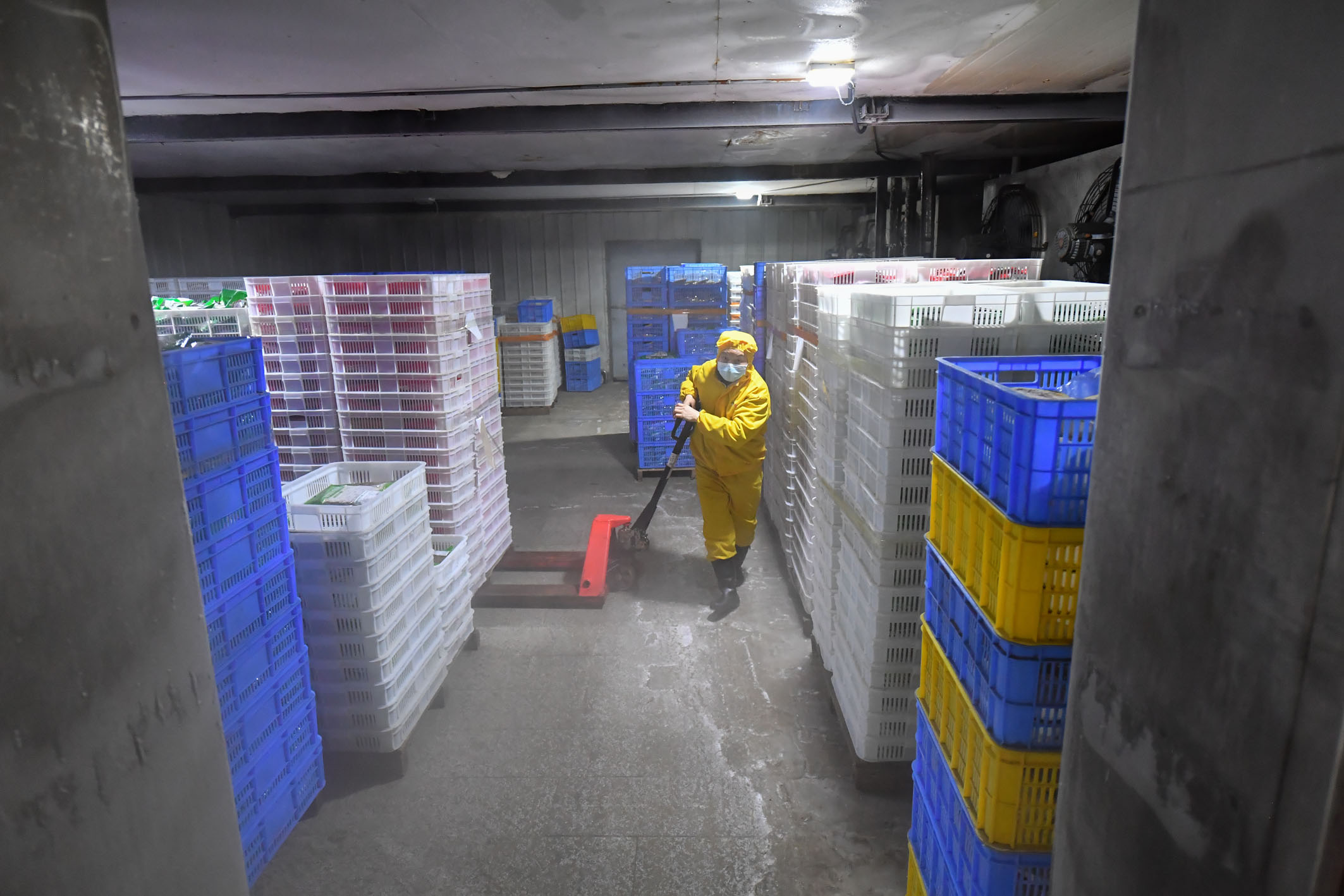 毛利率下滑红星冷链登陆港股(图1)