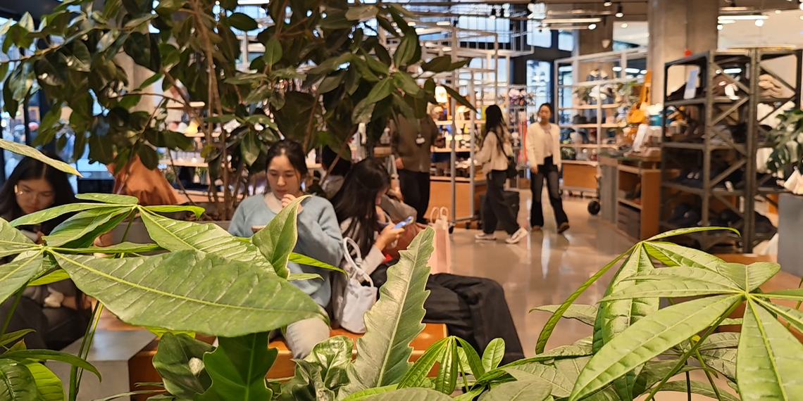 提振消费一线观察㉑首发经济:不止于“首”更在“保鲜”(图3)